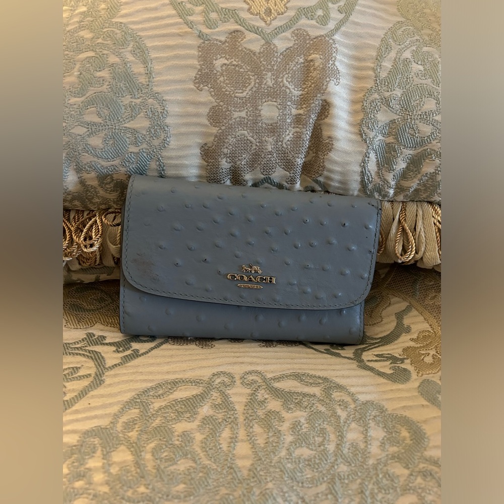 Blue Coach Wallet
